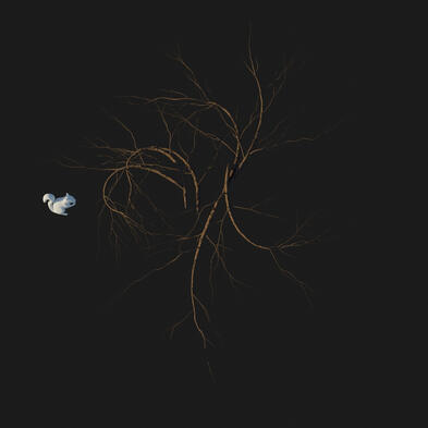 Untitled Untitled